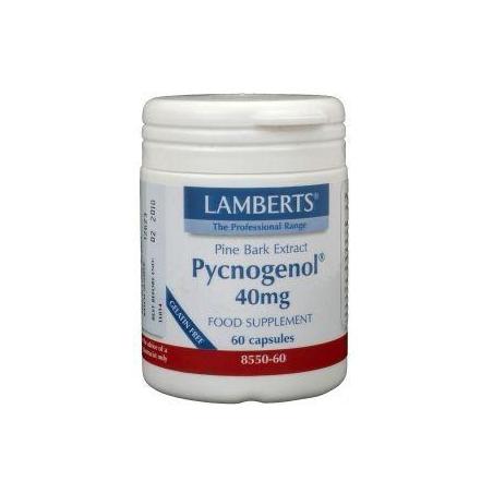 Pycnogenol 40 mg