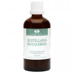 scuttelaria tinctuur Pigge