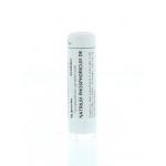 Natrium phosphoricum D6