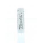 Melissa officinalis D6