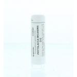 Phytolacca decandra D12