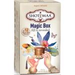 Magic box bio