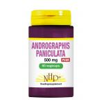 Andrographis paniculata 500...