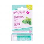 Natural lipbalm mint
