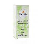 Salie lavandulifolie