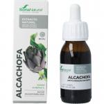 Cynara scolymus XXI extract