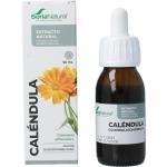 calendula officinalis xxi sor