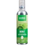 Frishi luchtverfrisser mint