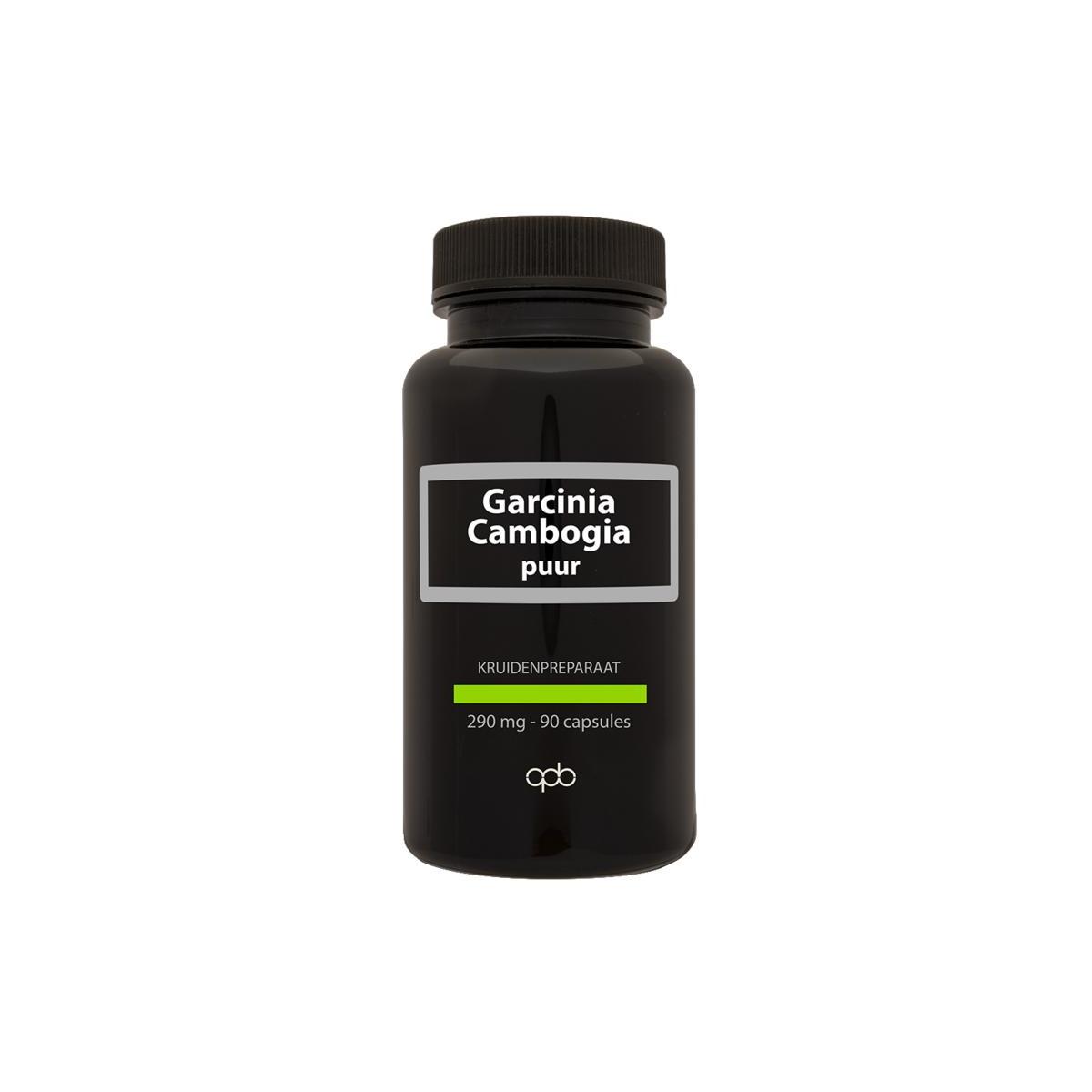 Garcinia cambogia 290 mg puur