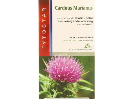 Carduus marianus