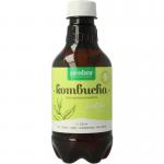 Kombucha fresh sparkling tea matcha