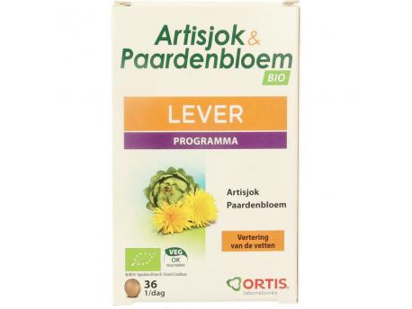 Artisjok paardenbloem