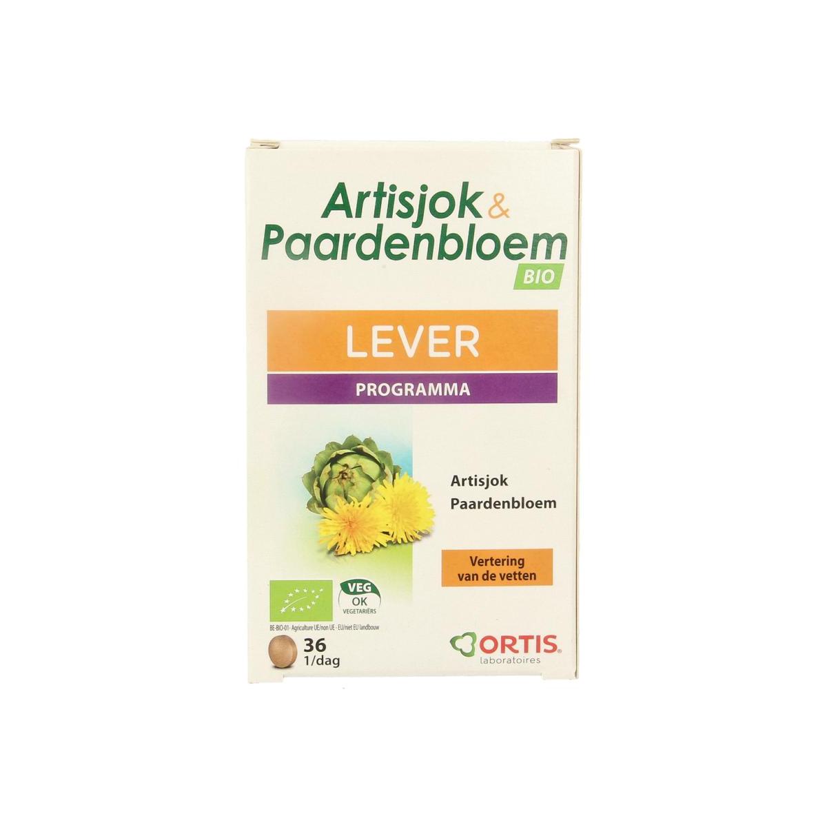 Artisjok paardenbloem