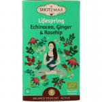 Lifespring echinacea,...