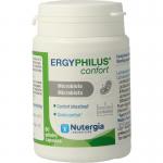 Ergyphilus confort