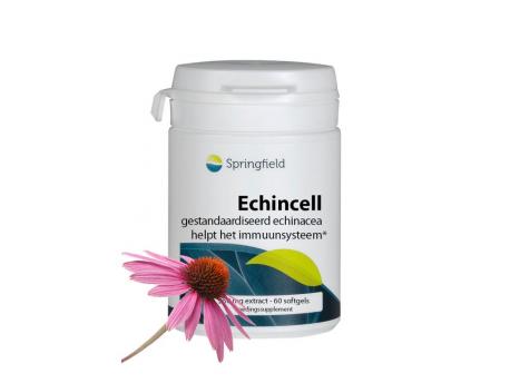 Echincell