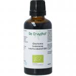 glechoma hederacea/hondsdraf