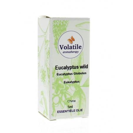 Eucalyptus wild