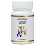 lactase enzyme vcl