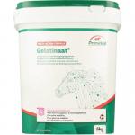 Primeval gelatinaat paard