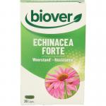 echinacea forte biover