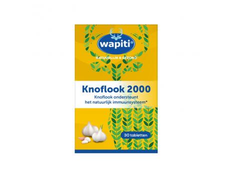 Knoflook 2000