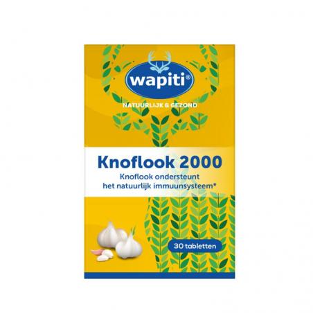 Knoflook 2000