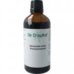 Alchemilla vulgaris / vrouwenmantel