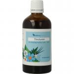 Arctostaphylos uva-ursi...