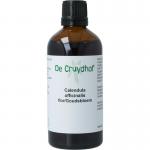 Calendula officinalis fl / goudsbloem