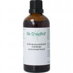 Echinacea purpurea / rode zonnehoed kruid