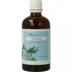 Ribes nigrum tincturen