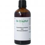 Equisetum arvense / akkerpaardestaart