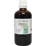 Mentha piperite / pepermunt