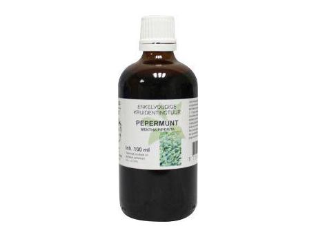 Mentha piperite / pepermunt