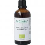 Achillea millefolium / duizendblad