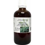 Thuja occidentalis / Westerse levensboom