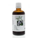 Valeriana officinalis radix / valeriaan