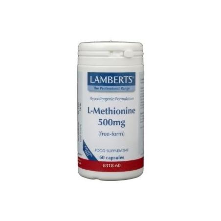 L-Methionine 500mg