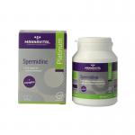spermidine bio