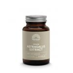 astragalus extract 475mg