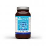 high quality nac n-acetyl cyst