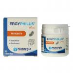Ergyphilus plus