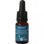 sweet chestnut/tamme kast bio