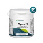 Mycelent...
