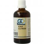 GO alnus glutinosa bio