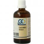 GO castanea vesca bio