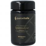 Liposomal spermidine fusion