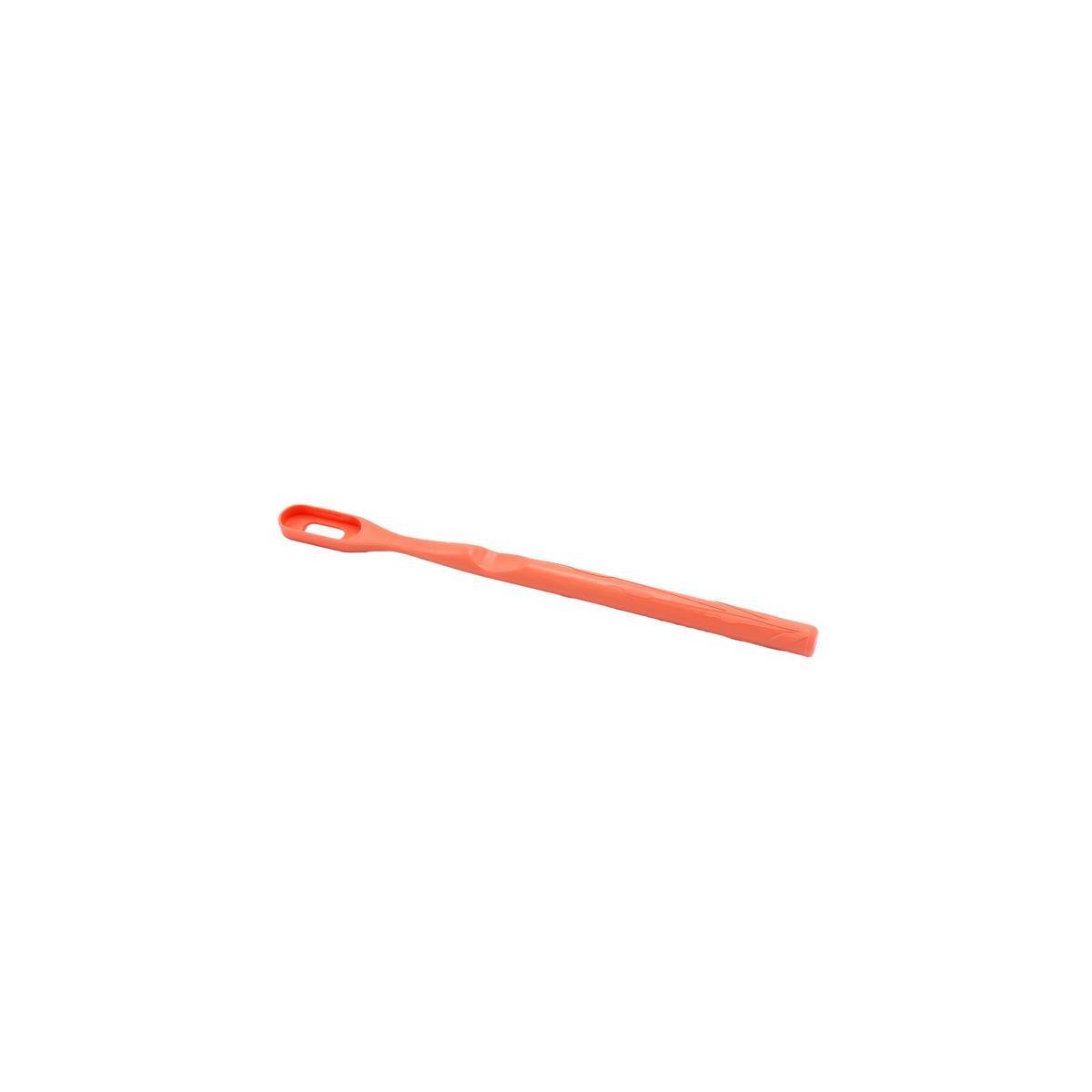 Toothbrush handle coral