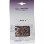 jiri&fr harswierook courage